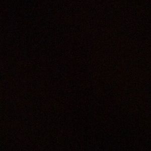 Meet your Posher, Raegen